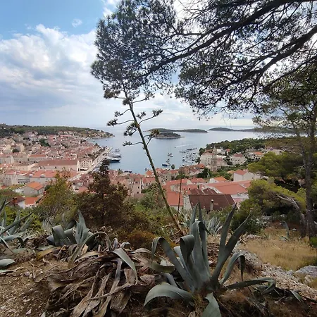 Merlo House Dol Hvar Villa