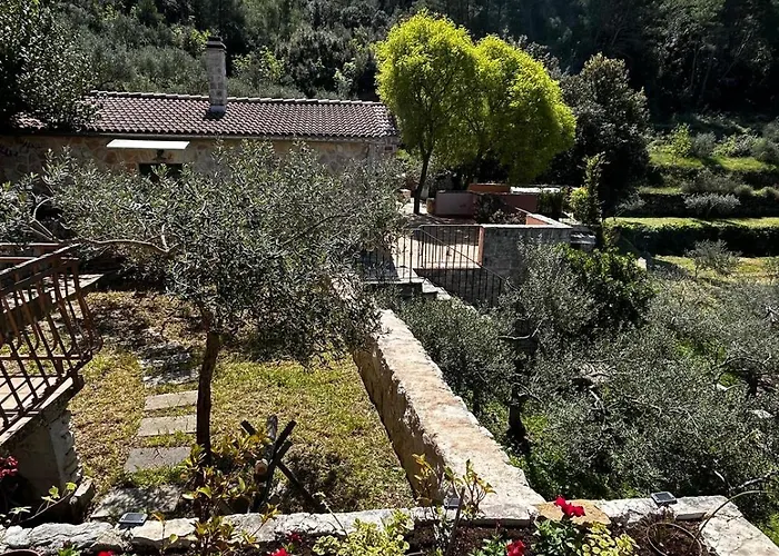 Merlo House Dol Hvar Vila Stari Grad (Hvar)